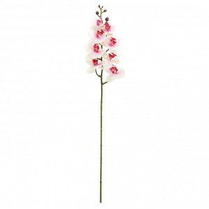Цветок "Орхидея" цвет - бело-розовый, 90см, 8 цветков, 5 бутонов (Китай)