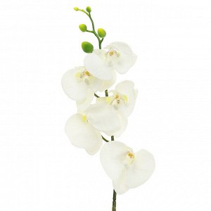 Цветок "Орхидея" цвет - белый, 86см, 5 цветков, 5 бутонов (Китай)