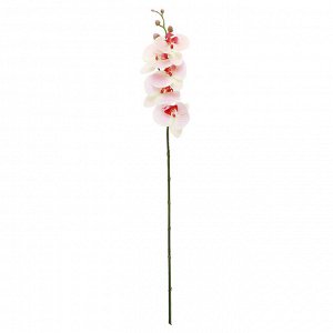 Цветок "Орхидея" цвет - розовый, 86см, 5 цветков, 5 бутонов (Китай)