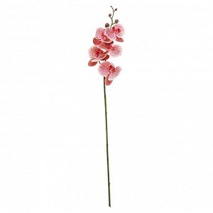 Цветок "Орхидея" цвет - тигровая фуксия, 86см, 5 цветков, 5 бутонов (Китай)