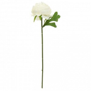Цветок "Пион" цвет - белый, 28см, цветок - д6х4см (Китай)
