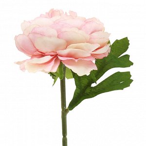 Цветок "Пион" цвет - персиковый, 28см, цветок - д6х4см (Китай)
