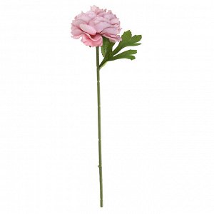 Цветок "Пион" цвет - пудровый, 28см, цветок - д6х4см (Китай)