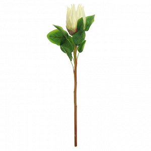 Цветок "Протея" цвет - ванильный, 68см, 1 цветок - д8х14,5см (Китай)