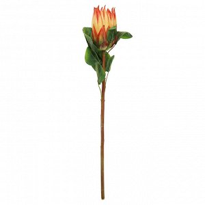 Цветок "Протея" цвет - оранжевый, 68см, 1 цветок - д8х14,5см (Китай)