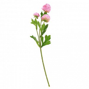 Цветок "Ранункулюс" цвет - розовый, 41см, 3 цветка (Китай)