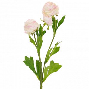 Цветок "Ранункулюс" цвет - светло-розовый, 41см, 3 цветка (Китай)