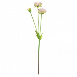 Цветок "Ранункулюс" цвет - сиреневый, 44см, 2 цветка, 1 бутон (Китай)