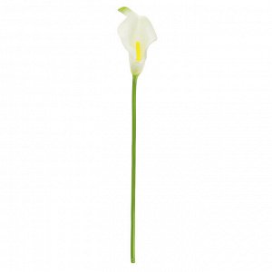 Цветок "Калла" цвет - белый, 32см, цветок - 5х3,5х7,5см (Китай)
