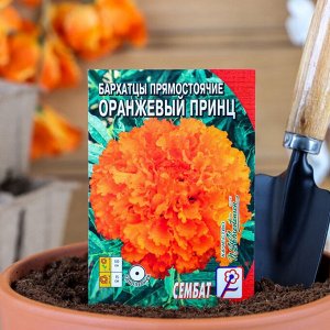 Семена цветов Бархатцы прямостоячие "Оранжевый принц", О, 0,1 г