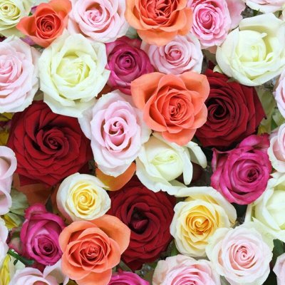 Огромный выбор роз, гортензий и декората на весну 2023!