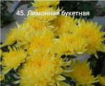 45 Лимонная-букетная