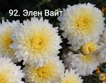 92 Элен Вайт