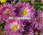 99 Серафима