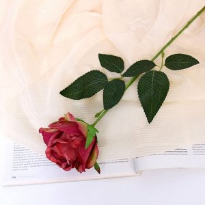 Цветы искусственные «Роза петра», 7.5x55 см, бордо