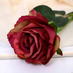 Цветы искусственные «Роза петра», 7.5x55 см, бордо