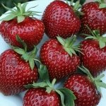 Клубника Мальвина