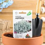 Семена цветов Цинерария приморская &quot;Андромеда&quot;, О, 0,1 г