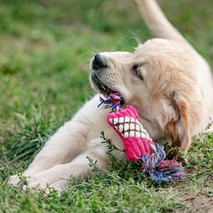 Игрушка мягкая для собак "Особая кость на канате", с пищалкой, 25 см, микс цветов