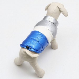 Куртка для собак с утяжкой размер 10 (ДС 25, ОГ 34,ОШ 24), серебряно-синяя