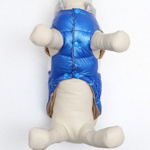 Куртка для собак с утяжкой размер 16 (ДС 36, ОГ 46, ОШ 35), серебряно-синяя