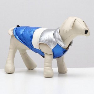 Куртка для собак с утяжкой размер 14 (ДС 32, ОГ 42, ОШ 31), серебряно-синяя
