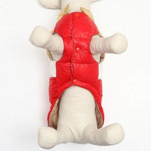Куртка для собак с утяжкой размер 14 (ДС 32, ОГ 42, ОШ 31), золото-красная
