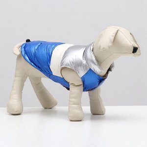 Куртка для собак с утяжкой. размер 18 (ДС 40 см, ОГ 50 см, ОШ 38 см), серебряно-синяя