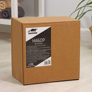 Набор для уборки Raccoon: ведро с подачей воды 31x31x18 см, квадратная швабра 21x21x134 см, 2 насадки из микрофибры, цвет серый