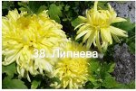 38 Липнева