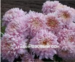 Мультифлора