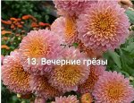 13 Вечерние Грезы