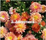 3 Августина
