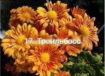 Троильбосс