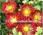 Вересневый Бисер
