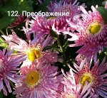 122 Преображение