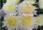 127 Солярис