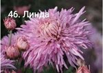 Линда