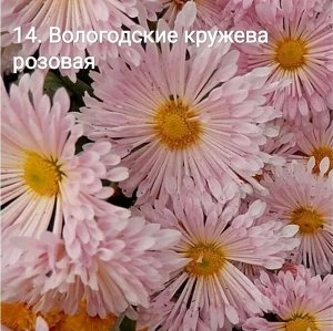 14 Вологодские кружева розовая