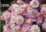 109 Зефирка