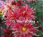 115 Фантастика