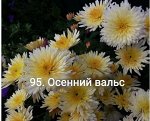 95 Осенний Вальс