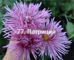 Патриция