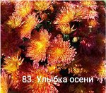 83 Улыбка Осени