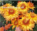 8 Бенгальские огни