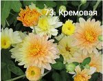 73 Кремовая