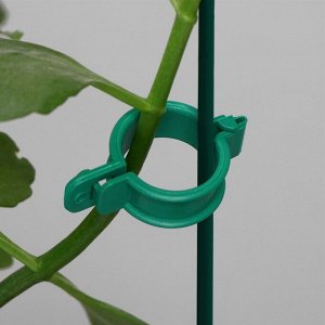 Кольцо-фиксатор для растений, d = 20 мм, набор 20 шт., зелёный