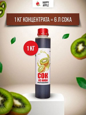 Сок концентрированный Киви бутылка 1 кг