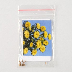 Семена цветов Астра "Мацумото", Еллоу, Sakata, 10 шт