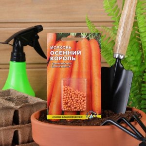Семена Морковь "Осенний король", 300 шт.